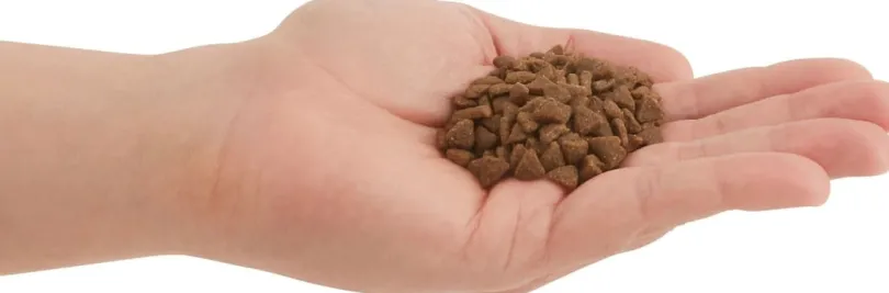 Acana Cat First Feast 1.8kg