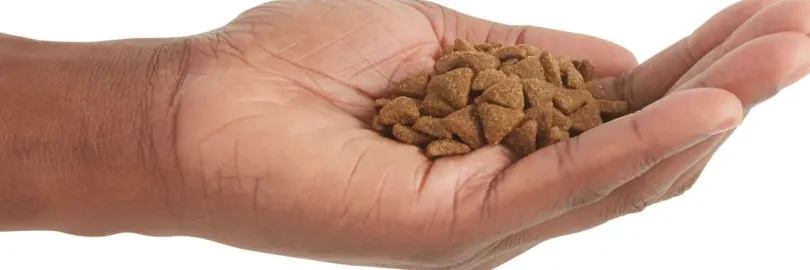 Acana Cat Indoor Entree 1.8kg