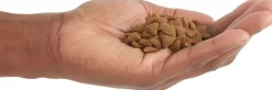 Acana Cat Indoor Entree 4.5kg