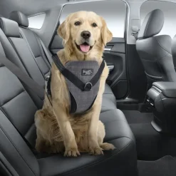 AFP Travel Dog Arnes de Seguridad L