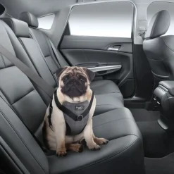 AFP Travel Dog Arnes de Seguridad S