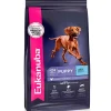 Alimento Eukanuba Puppy Large Breed 15kg