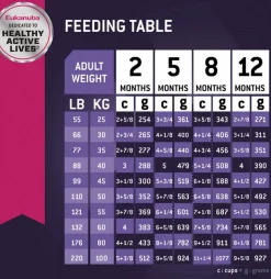 Alimento Eukanuba Puppy Large Breed 15kg