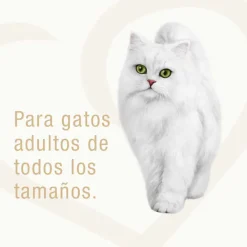 Alimento húmedo Fancy Feast Goulash Pavo 85g