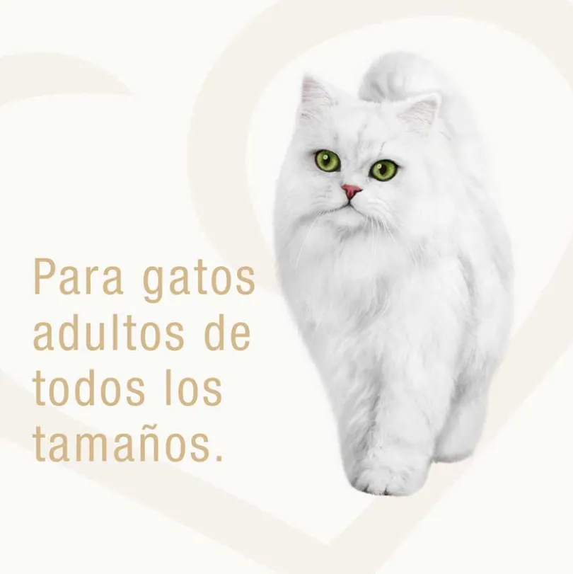Alimento húmedo Fancy Feast Goulash Pavo 85g
