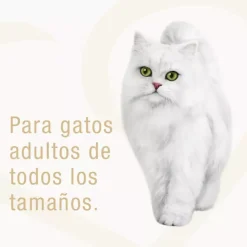 Alimento húmedo Fancy Feast Demi Glace Carne 85g PACK 15 Unidades