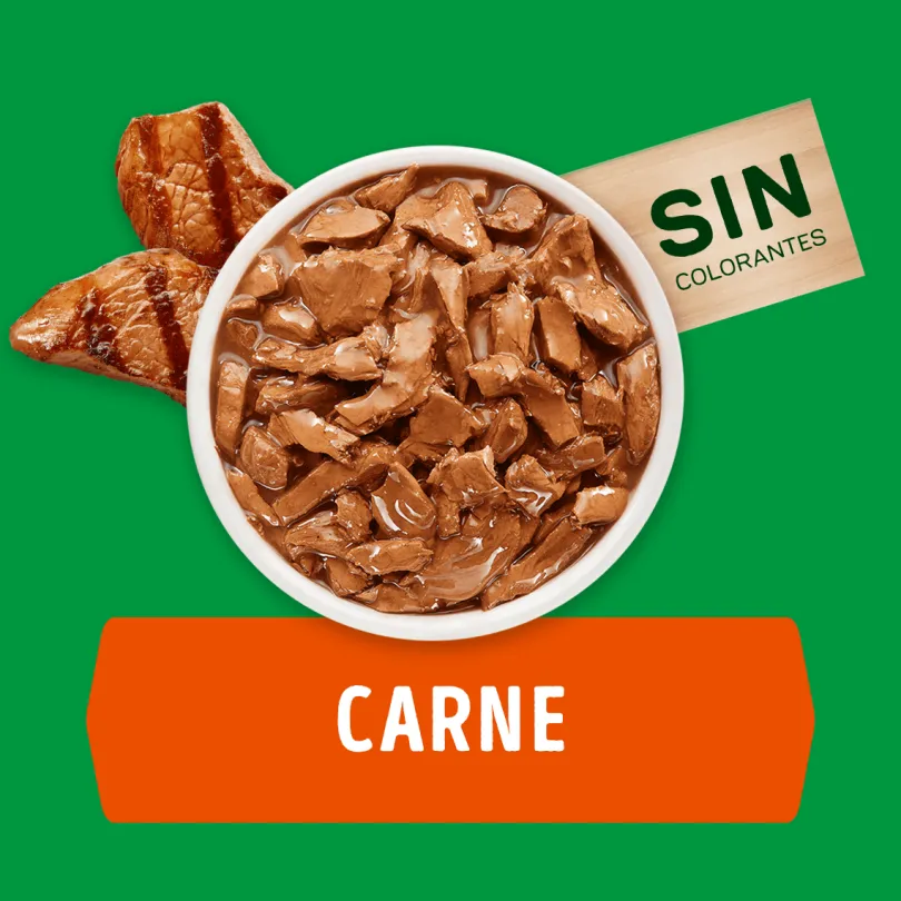 Alimento húmedo para perro DOG CHOW® Adultos Minis y Pequeños Sabor Carne 100gr Pack 15 Unidades