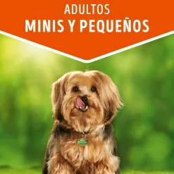 Alimento húmedo para perro DOG CHOW® Adultos Minis y Pequeños Sabor Carne 100gr Pack 15 Unidades
