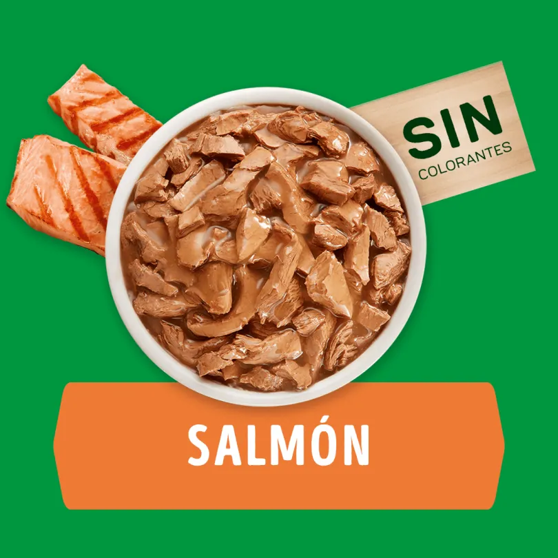 Alimento húmedo para perro DOG CHOW® Adultos Minis y Pequeños Sabor Salmón 100gr Pack 15 Unidades