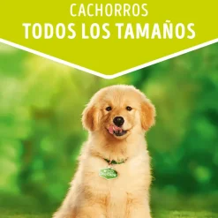 Alimento húmedo para perro DOG CHOW® Cachorros con Pollo sobre 100gr Pack 15 Unidades