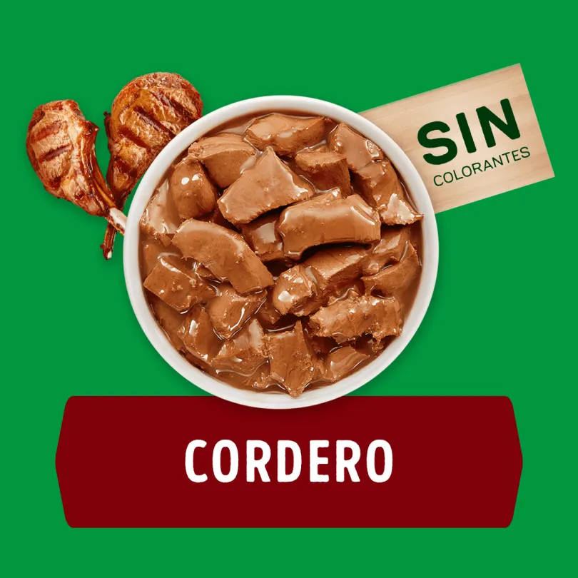 Alimento húmedo para perro DOG CHOW® Adultos con Cordero sobre 100gr Pack 15 Unidades