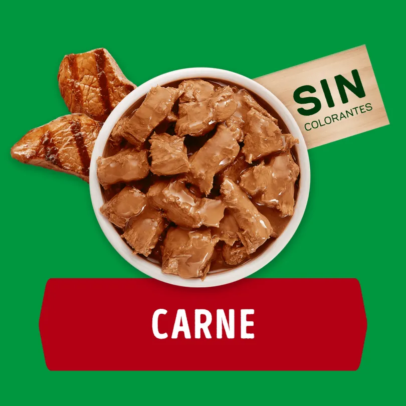 Alimento húmedo para perro DOG CHOW® Adultos con Carne sobre 100g Pack 15 Unidades