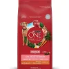 Alimento para perro PURINA® ONE® Adulto Mediano y Grande Pollo y Cordero