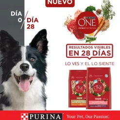 Alimento para perro PURINA® ONE® Adulto Mediano y Grande Pollo y Cordero