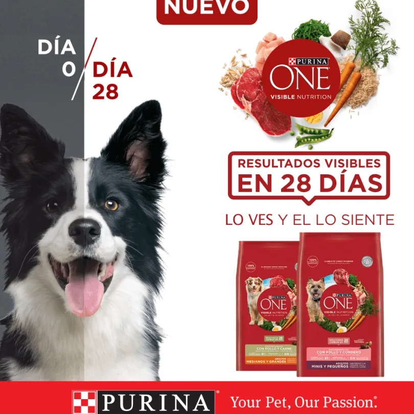 Alimento para perro PURINA® ONE® Adulto Mediano y Grande Pollo y Cordero