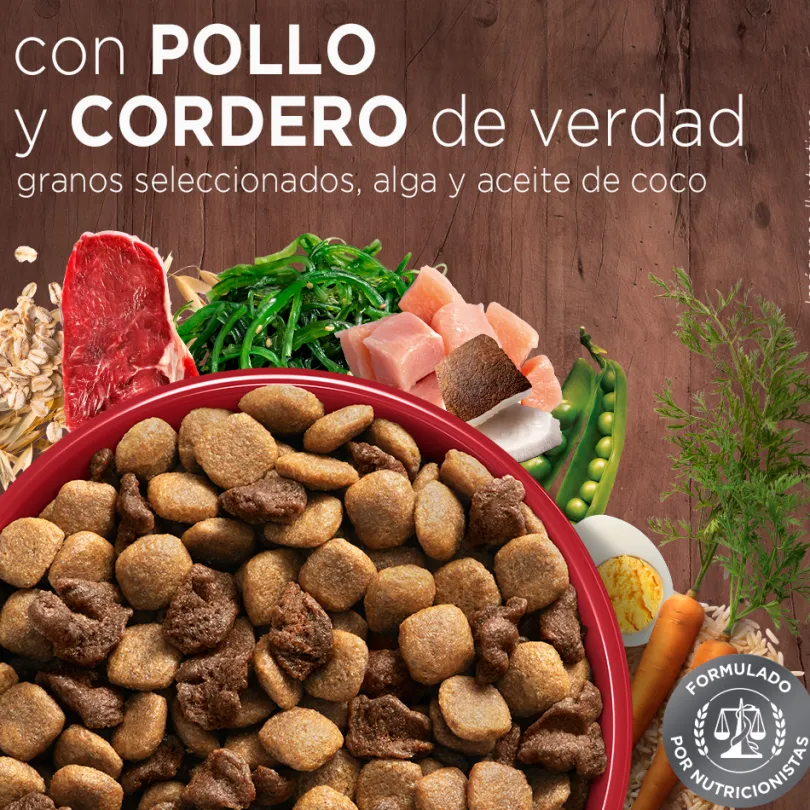 Alimento para perro PURINA® ONE® Adulto Mediano y Grande Pollo y Cordero