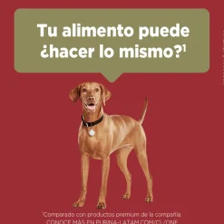 Alimento para perro PURINA® ONE® Adulto Mediano y Grande Pollo y Cordero