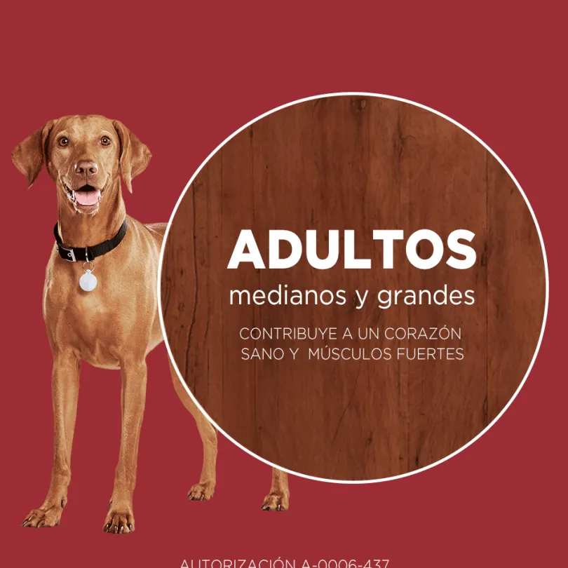 Alimento para perro PURINA® ONE® Adulto Mediano y Grande Pollo y Cordero