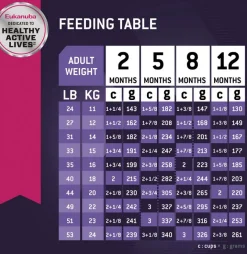 Alimento Perro Eukanuba Puppy Medium Breed 15kg