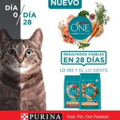 Alimento seco para gato PURINA® ONE® Adulto Pollo y Salmón