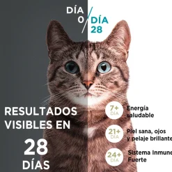 Alimento seco para gato PURINA® ONE® Adulto Pollo y Salmón