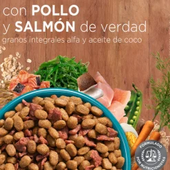 Alimento seco para gato PURINA® ONE® Adulto Pollo y Salmón