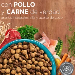 Alimento seco para gato PURINA® ONE® Adulto Pollo y Carne