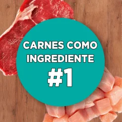 Alimento seco para gato PURINA® ONE® Adulto Pollo y Carne