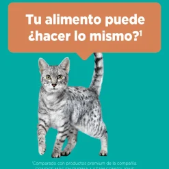 Alimento seco para gato PURINA® ONE® Adulto Pollo y Carne