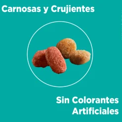 Alimento seco para gato PURINA® ONE® Esterilizado Pollo y Salmón
