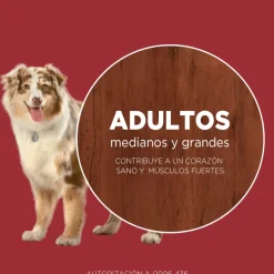 Alimento seco para perro PURINA® ONE® Adulto Mediano y Grande Pollo y Carne