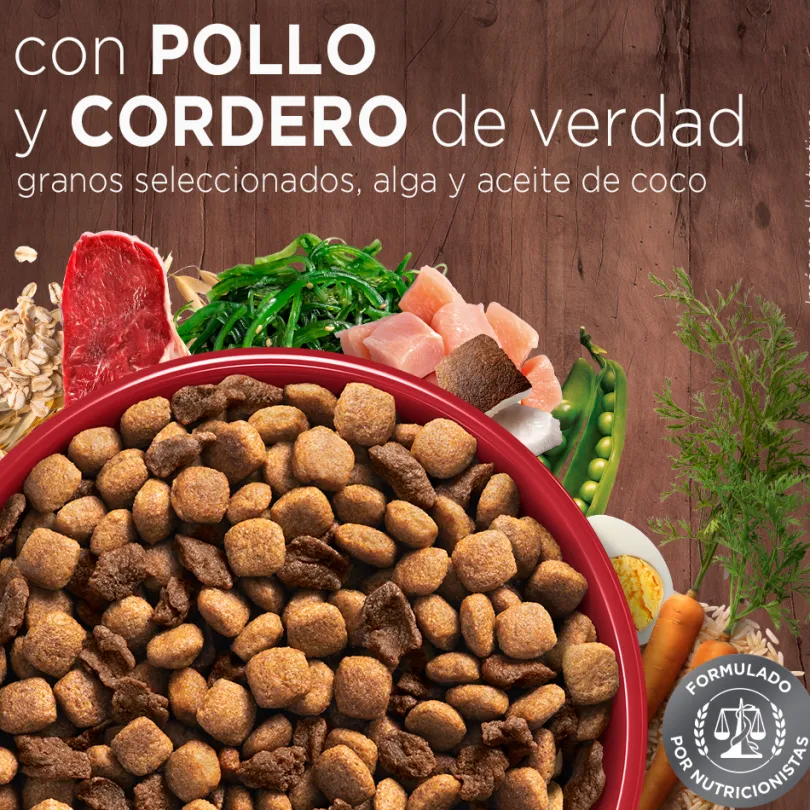 Alimento seco para perro PURINA® ONE® Adulto Mini y Pequeño Pollo y Cordero