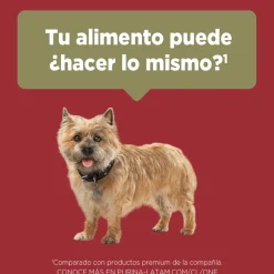 Alimento seco para perro PURINA® ONE® Adulto Mini y Pequeño Pollo y Cordero
