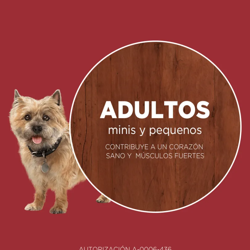 Alimento seco para perro PURINA® ONE® Adulto Mini y Pequeño Pollo y Cordero