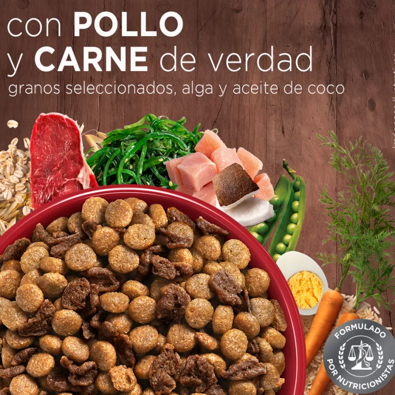 Alimento seco para perro PURINA® ONE® Cachorro Pollo y Carne
