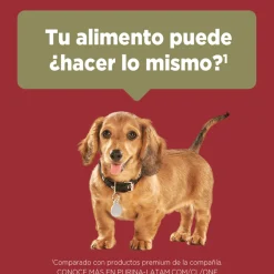 Alimento seco para perro PURINA® ONE® Cachorro Pollo y Carne