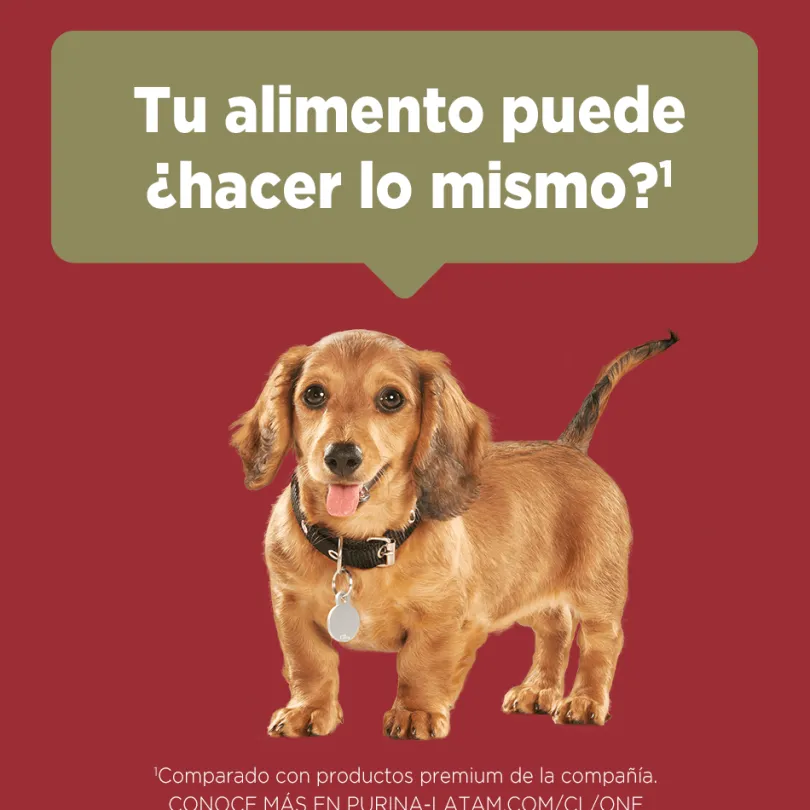 Alimento seco para perro PURINA® ONE® Cachorro Pollo y Carne