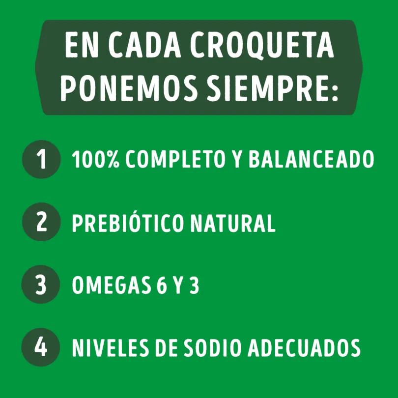 Alimento seco para perro DOG CHOW® Adultos Minis y Pequeños Pollo y Pavo 8kg