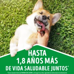 Alimento seco para perro DOG CHOW® Adultos Minis y Pequeños Pollo y Pavo 8kg