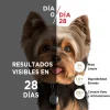 Alimento seco para perro PURINA® ONE® Adulto Mini y Pequeño Pollo y Carne