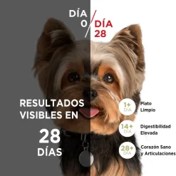 Alimento seco para perro PURINA® ONE® Adulto Mini y Pequeño Pollo y Carne