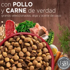 Alimento seco para perro PURINA® ONE® Adulto Mini y Pequeño Pollo y Carne