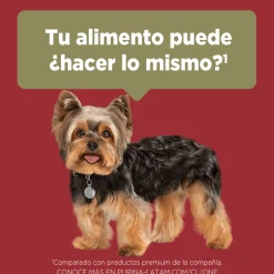 Alimento seco para perro PURINA® ONE® Adulto Mini y Pequeño Pollo y Carne