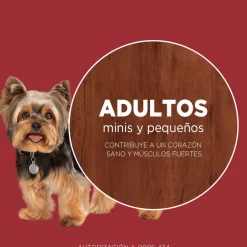 Alimento seco para perro PURINA® ONE® Adulto Mini y Pequeño Pollo y Carne