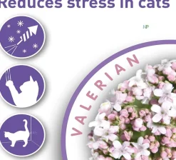 Beaphar Calming Collar calmante Gato