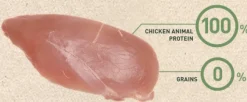 Bravery Chicken Mini Adult