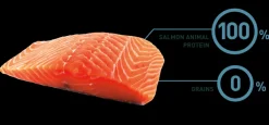 Bravery Salmon Mini Adult 2kg