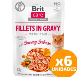 Brit Care Cat Fillets in Gravy Pouch Salmon 85gr Pack 6 Unidades