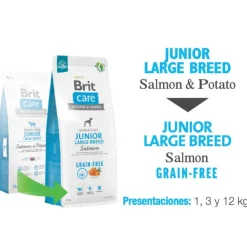 Brit Care Dog Junior Large Breed Salmon 12kg