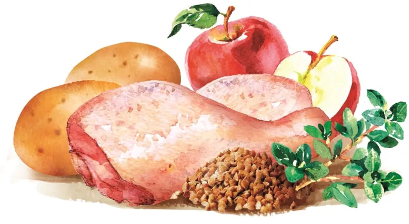 Brit Fresh Chicken with Potato Adult Great Life 2.5kg
